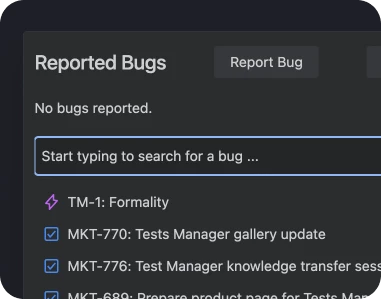 Bug reporting during test execution